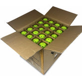 Vulcan Vpro Flight Outdoor Pickleballs (100X)