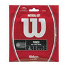 Wilson Natural Gut