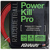Ashaway Powerkill Pro 16G Racquetball