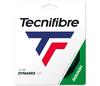 Tecnifibre Dynamix V.P. Squash (Black)