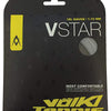Volkl V-Star 18L (Silver)