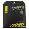 Volkl V-Star 18L (Silver)
