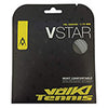Volkl V-Star 18L (Silver)