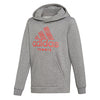 Adidas Boys Club Hoodie