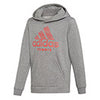 Adidas Boys Club Hoodie
