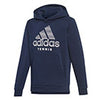 Adidas Boys Club Hoodie