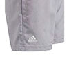Adidas Club Polo (B)