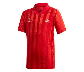 Adidas Boys Freelift Tee Engineered (Red)
