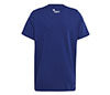 Adidas Boys Category Graphic Tee (Victory Blue)