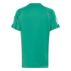 Adidas Boys' Club 3 Stripes Tee (Semi Court Green)