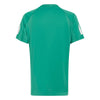 Adidas Boys' Club 3 Stripes Tee (Semi Court Green) Adidas