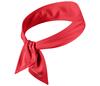 Adidas Tennis Tieband (Red)
