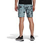 Adidas Club Graphic 7" Short (M)