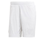 Adidas Mcode Shorts (M)