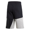 Adidas Brand Short (M)