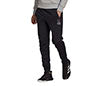 Adidas Tennis Graphic Pant (M) (Black)