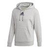 Adidas Category Graphic Hoodie (M)