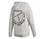 Adidas Category Graphic Hoodie (M)