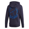 Adidas Category Graphic Hoodie (M)