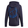 Adidas Category Graphic Hoodie (M)