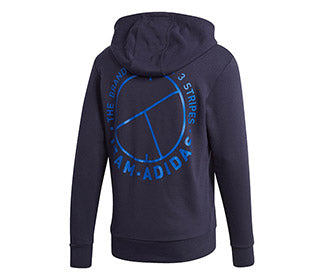 Adidas Category Graphic Hoodie (M)