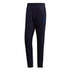 Adidas Category Graphic Pant (M)
