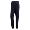Adidas Category Graphic Pant (M)