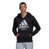 Adidas Category Graphic Hoodie (M) (Black)