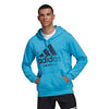 Adidas Category Graphic Hoodie (M) (Blue)