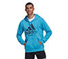 Adidas Category Graphic Hoodie (M) (Blue)