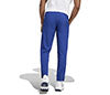 Adidas Tennis Stretch Woven Pant (M) (Victory Blue)