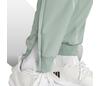 Adidas Stretch Woven Pro Pant (M) (Silver Green)