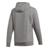 Adidas Category Graphic Hoodie (M)