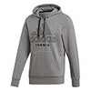 Adidas Category Graphic Hoodie (M)