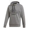 Adidas Category Graphic Hoodie (M)