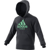 Adidas Category Graphic Hoodie (M)