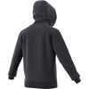 Adidas Category Graphic Hoodie (M)