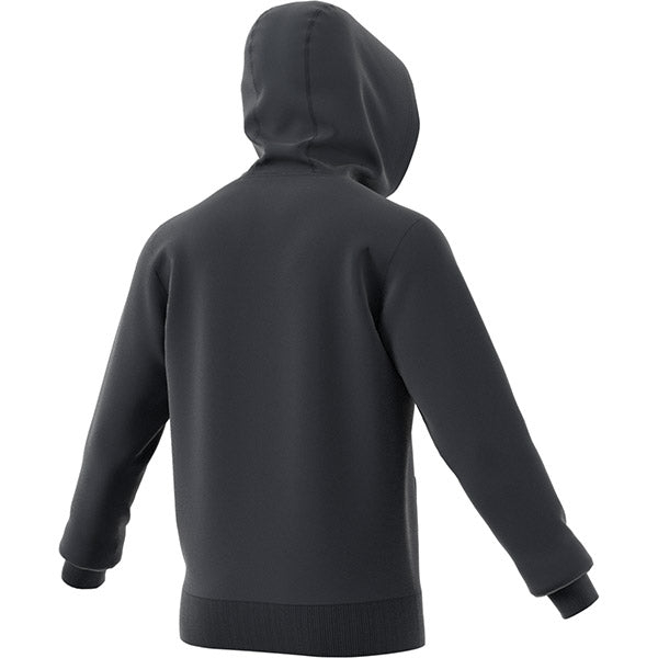 Adidas Category Graphic Hoodie (M)