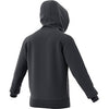 Adidas Category Graphic Hoodie (M)