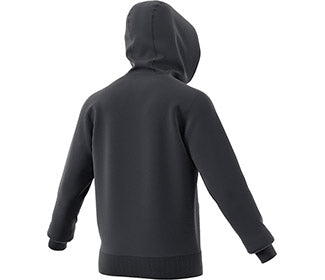 Adidas Category Graphic Hoodie (M)