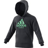 Adidas Category Graphic Hoodie (M)