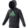 Adidas Category Graphic Hoodie (M)