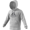 Adidas Category Graphic Hoodie (M)