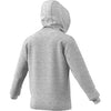 Adidas Category Graphic Hoodie (M)