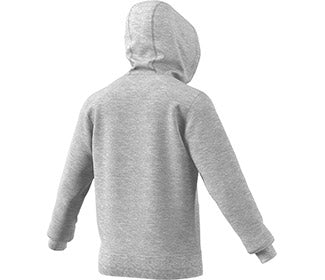 Adidas Category Graphic Hoodie (M)