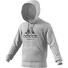 Adidas Category Graphic Hoodie (M)