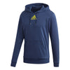 Adidas Category Graphic Hoodie (M)