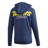 Adidas Category Graphic Hoodie (M)