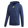 Adidas Category Graphic Hoodie (M)
