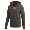Adidas Category Graphic Hoodie (M)